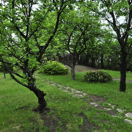 Szyszka i Róża Domek na Jurze Zelazko Exterior foto
