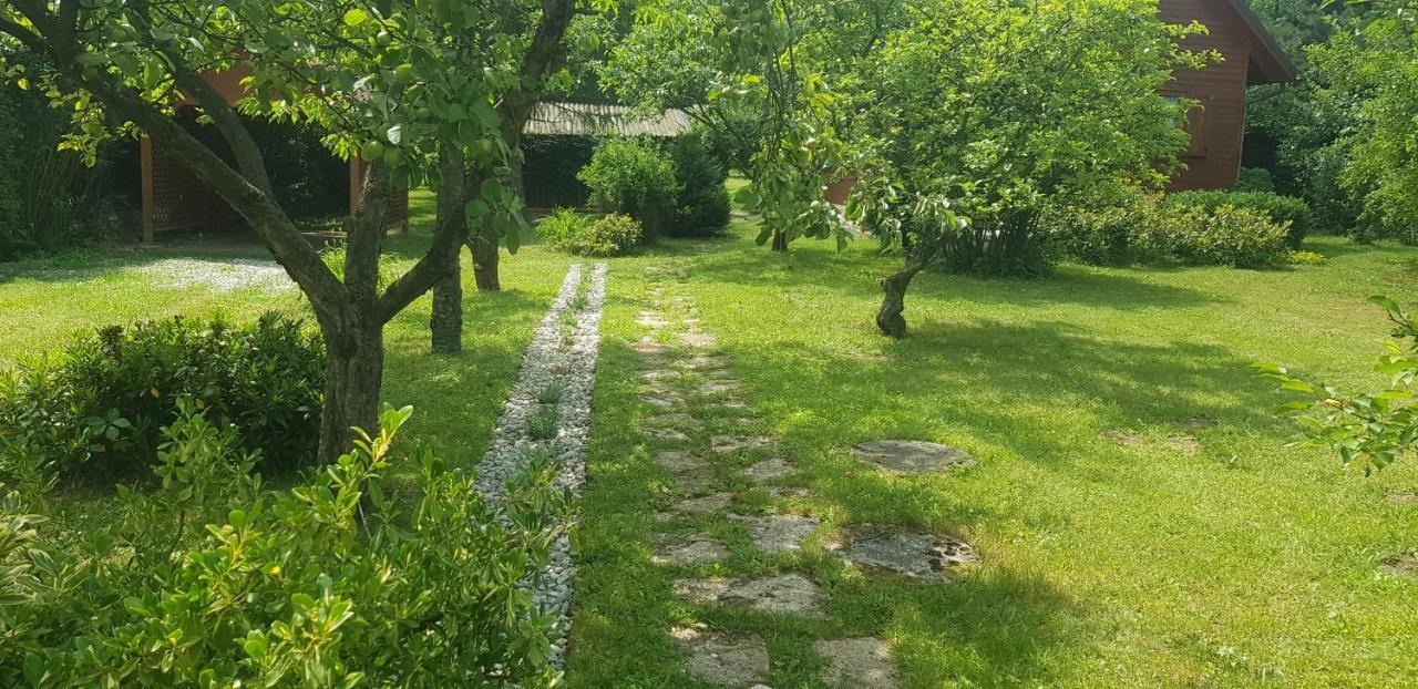 Szyszka i Róża Domek na Jurze Zelazko Exterior foto